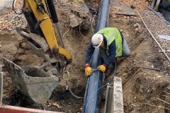 2021-1-CM-Applications-200b-CM-Spring-Park-burst-upsize-IAspring-park-3