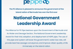 National Government Leadership Award