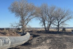 St-John-ID-2025-2-pipe-bent-around-tree-Delwyn-5